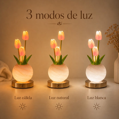 TuliVive